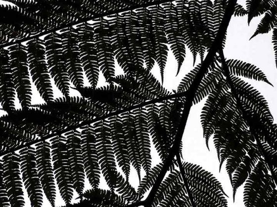 New Zealand Fern Silhouette