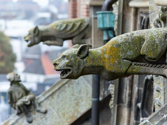 Close-Up Of Gargoyle Figures on top of the St. John's Cathedral in ’s-Hertogenbosch Cathedral
