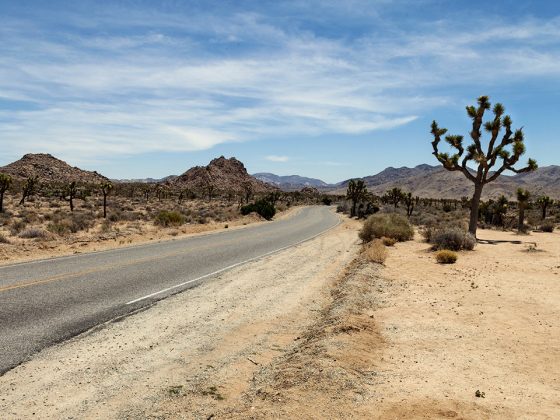 Road Through Joshua Tree National Park